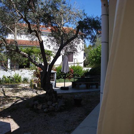 Apartments Olea Pinezići Екстериор снимка