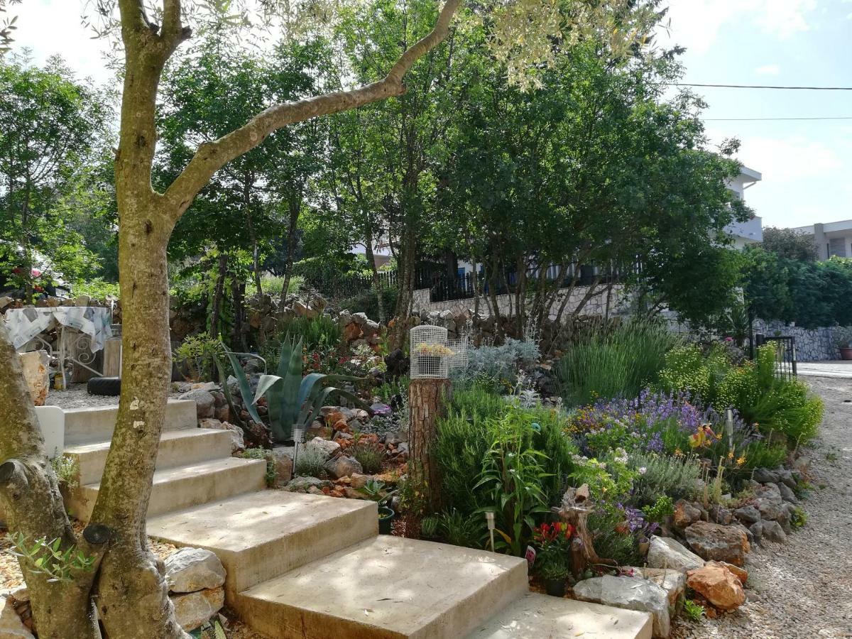 Apartments Olea Pinezići Екстериор снимка